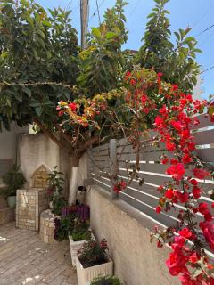 Apartments & Studios ARDIAN-MANDI SARANDË-ALBANIA - 5