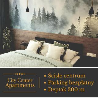 Apartament City Center Piłsudskiego - Krynica Zdrój - 0