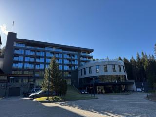 Hotel Pestera Wellness & Spa - Sinaia - 8