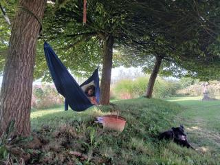 Natuurglamping 't Wijland - Maarkedal - 9