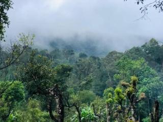 Adis Home - With Beautiful Waterfalls - three min walk - Kalasa - 8