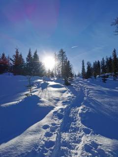 Bergheim - Arzl im Pitztal - 9