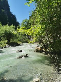 Bergheim - Arzl im Pitztal - 7