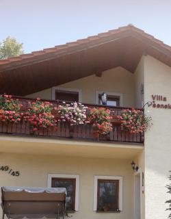 villa Pšenek - Banka - 8