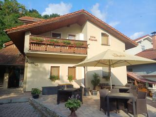 villa Pšenek - Banka - 0