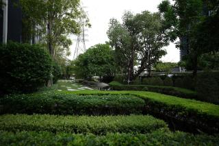 Life Ladprao 1 Bedroom Condo - Bangkok - 8