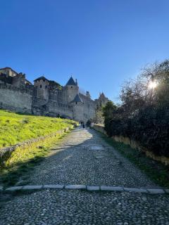 Le Petit Camisou, un écrin au pied de la Cité - Carcassonne - 8