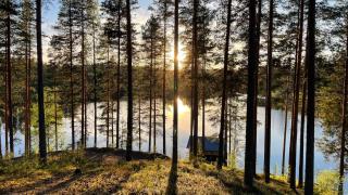 Ahvenlampi Camping - 2