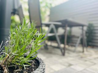 Central Perk Apartman - Balatonalmádi - 7