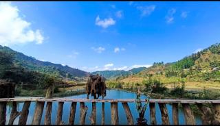 BanLien Forest Lao Cai - Bắc Hà - 0