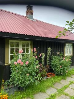 Lite hus i hagen - Malvik - 8