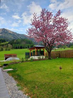 Hofpower`s Mountain Feeling - Hinterstoder - 4