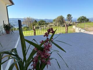 Quinta de Fonte Coberta - Ponte da Barca - 6