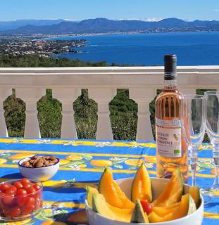 Villa 140 m2 4 étoiles parking wifi - clim - piscine - Roquebrune-sur Argens - 1