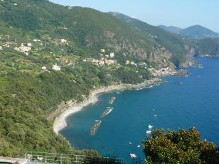 Hotel Silvia Framura - Cinque Terre - Framura - 9