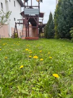 Pensiunea Casa Rica - Călimăneşti - 4