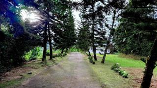 Riverview Bungalow in Cameron Highlands - Tanah Rata - 1