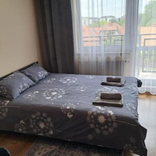 LUX apartament - Varsóvia - 5
