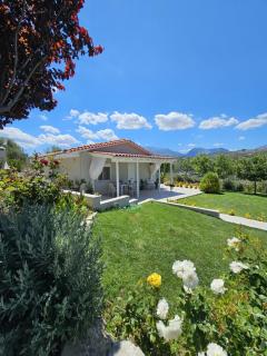 Ornament: Infinite Nature Villa - 0