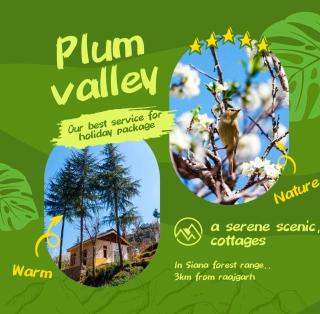 Plumvelly cottage - Rājgarh - 1