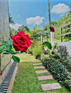 Queen Isabel Private Villa and Events Place - Tagaytay - 8