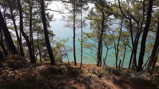 Chez Nany - Chaleureux duplex sur le port de Morgat - Crozon - 2