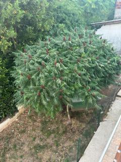 Deluxe apartman Mimi Viskovo with a free parking space - 9