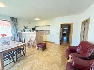 FamilyVilla, new 4 Luxury Big Apartments, parking - Praga - 9