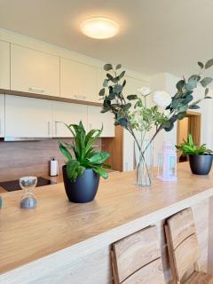 FamilyVilla, new 4 Luxury Big Apartments, parking - Praga - 2