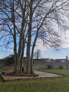 Domaine Chapelle - La Chapelle-la-Reine - 8