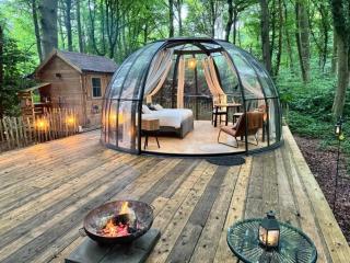 Le Dôme de Namur - Une nuit insolite dans les bois - Champion - 0