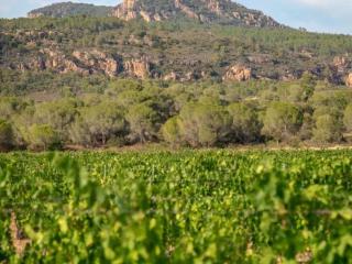 Villa - 160m2 -vue mer - 300m des plages - Roquebrune-sur Argens - 4