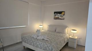 STAY Historia Apartment - 0