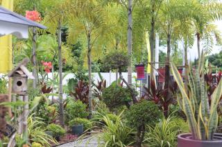 Villa Beau Rivage - 2