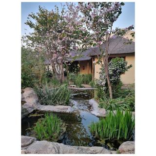 Idle Winds Lodge and Conference Centre - Centurion - 0