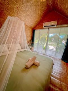 3 Pok Maewang jinxiang Gold elephant park - 3