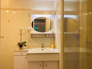 Chambre et Sdb privées dans pavillon à 15 mn Orly - 5