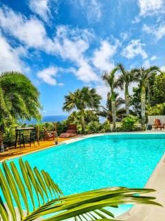 Maison d'hôtes Villa des Mascareignes - Petite Île - 4