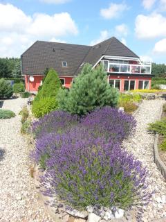 Fewo Kiefernweg - Sehlen - 9