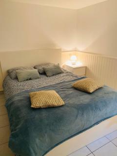 Chambre et Sdb privées dans pavillon à 15 mn Orly - 1