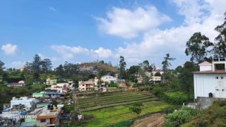 Jacks Valley Kodai - 3