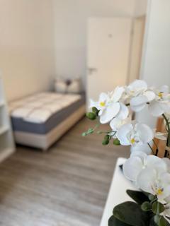 Apartment's am Luisenpark - Stadtnah - WLAN - Smart TV - Stellplatz - Erfurt - 0
