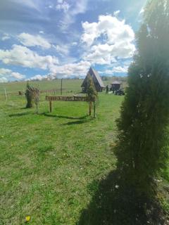 Planinska kuca-Jovanovic! - 1