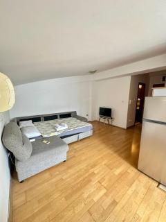 Apartment Stex 3 - Podgorica - 0