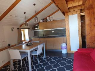Appartement cosy, 100m des pistes et commerces, 4 pers, 30m², Parking, Balcon plein sud - FR-1-445-202 - Monginevro - 1