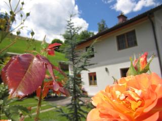 Heidi's Schlummerkiste am Fuß der Teichalm - Breitenau am Hochlantsch - 5