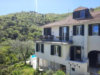 Villa Andora with swimming pool and 10 minutes from the sea - Moltedo - 0