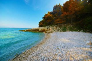 Villa Marija, a charming pet friendly Villa amidst nature - Šušnjevica - 1
