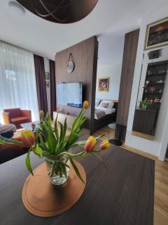 Apartmani Dragulji Vrnjačka Banja, Parking uključen, centar na 5 min - 5