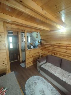 Planinska kuca-Jovanovic! - Kremna - 1